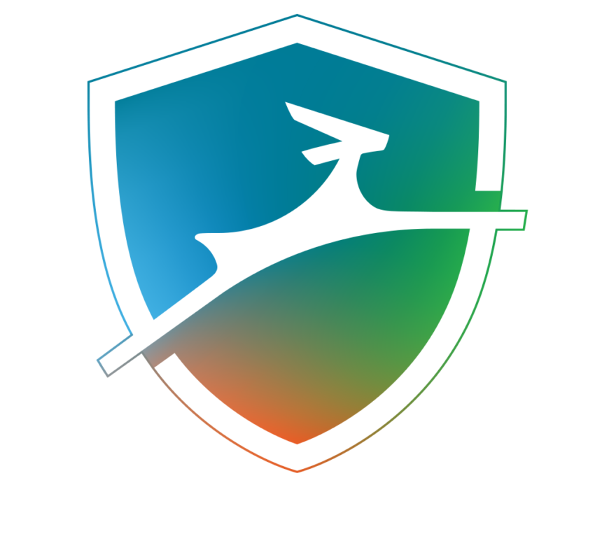 Dashlane Review 2019 Is Dashlane Safe and Secure to use