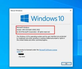 How to find/ check Windows 10 build and version number?