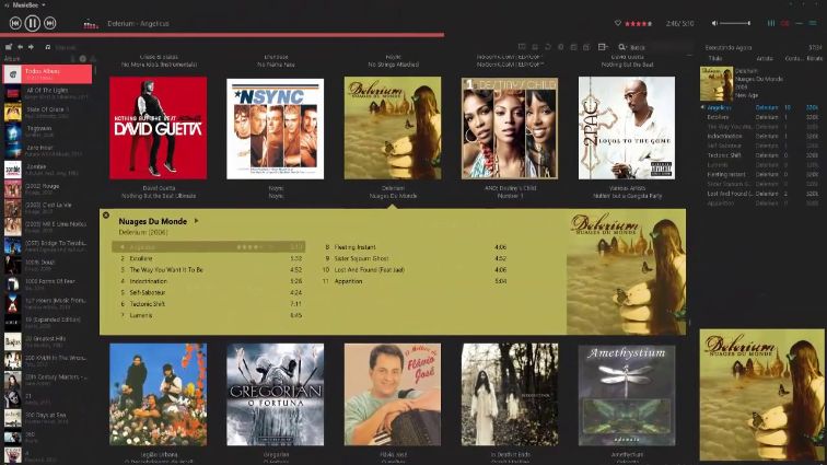 download musicbee for windows